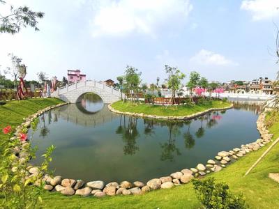 魚塘變公園、村莊成景區(qū),東莞寒溪水村繪就農村美景